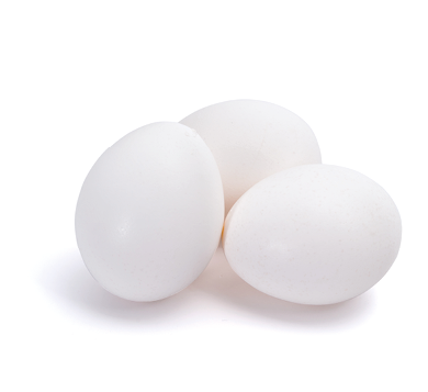 Group of white eggs isolated on white background