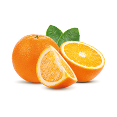 orange fruit isolated on white background. Full depth of field