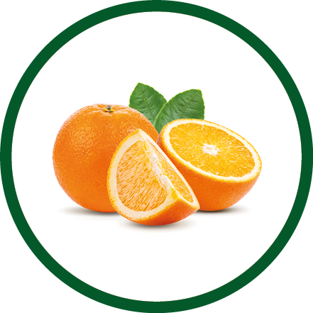 orange fruit isolated on white background. Full depth of field