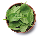 Bowl with fresh spinach on white background