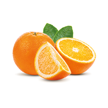 orange fruit isolated on white background. Full depth of field