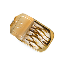 Can of sardines isolated on white background