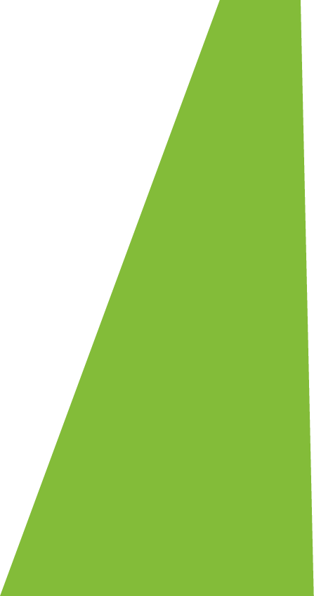 Backgropund green slide