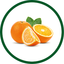 orange fruit isolated on white background. Full depth of field