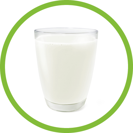 glass of milk top view front view glass of milk isolated on white background
