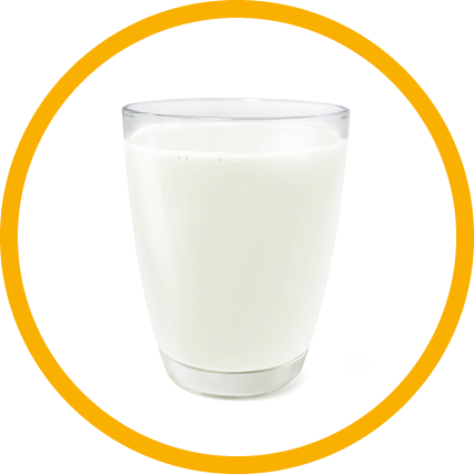 glass of milk top view front view glass of milk isolated on white background