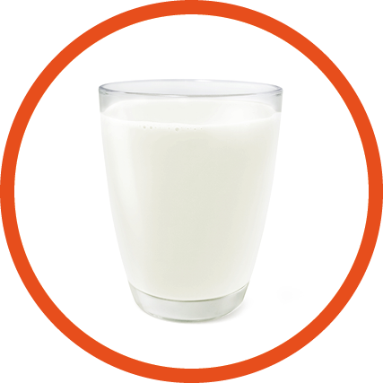 glass of milk top view front view glass of milk isolated on white background