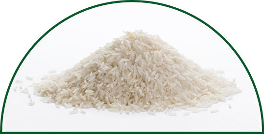 uncooked basmati rice in a small pile on a white background
