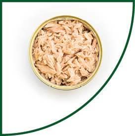 Canned tuna isolated, open tuna tin on a white background, Canned soy, Tuna packed in water