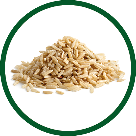 Pile of long grain brown rice isolated on white.