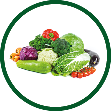 Fresh vegetables isolated on a white background.