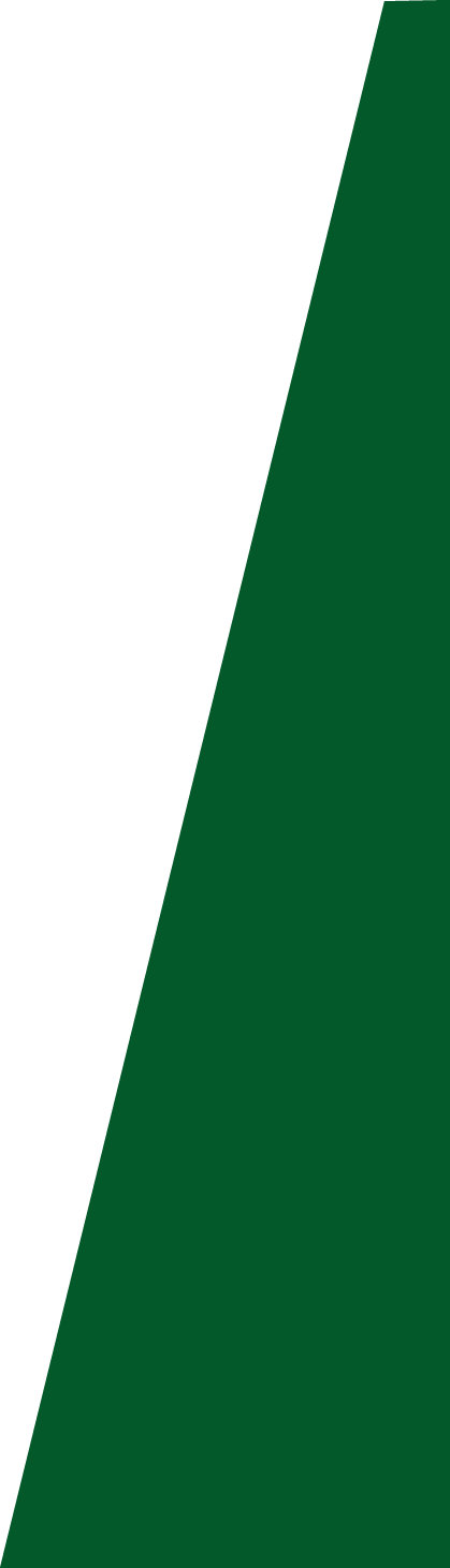 Backgropund green slide