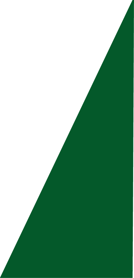 Backgropund green slide