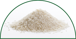 uncooked basmati rice in a small pile on a white background