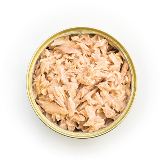 Canned tuna isolated, open tuna tin on a white background, Canned soy, Tuna packed in water