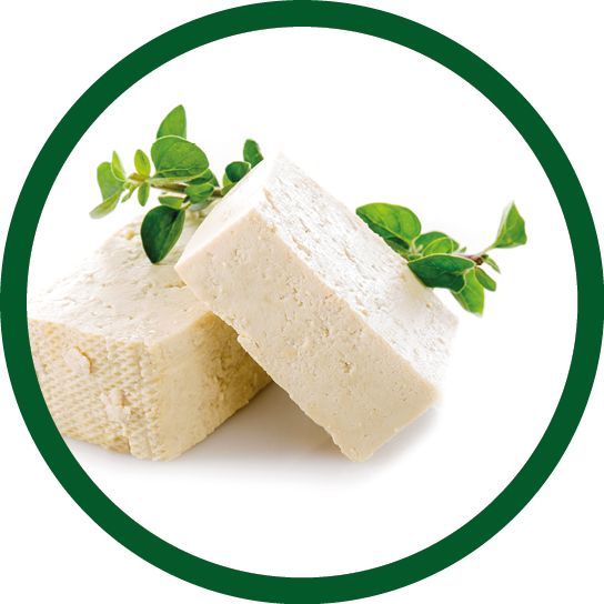 tofu cheese on white background