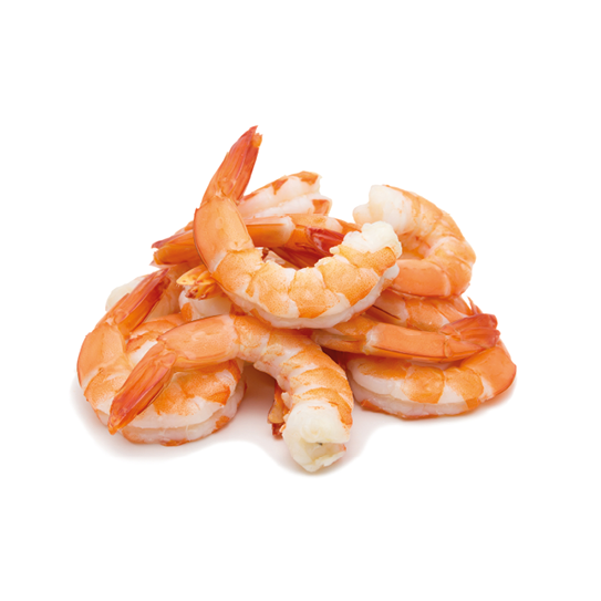 Shrimps isolated on white background concept.