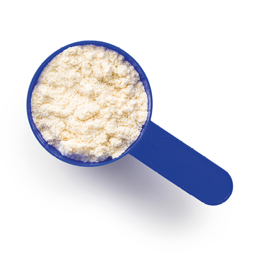 Whey protein powder in scoop isolated on white background.