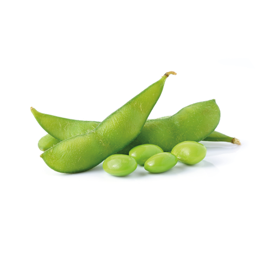 green soybeans on white background