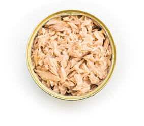 Canned tuna isolated, open tuna tin on a white background, Canned soy, Tuna packed in water