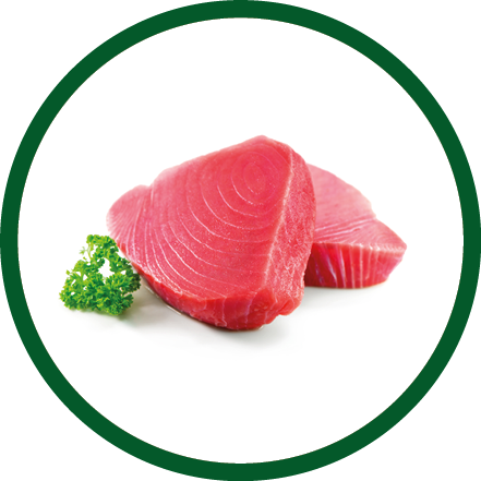 Fresh tuna fish fillet steaks garnished with parsley isolated on white background