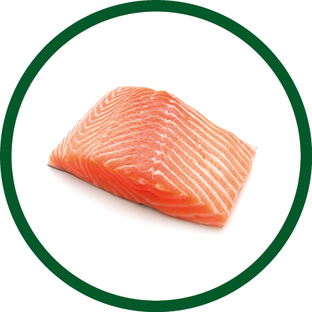 fresh salmon steak on white background