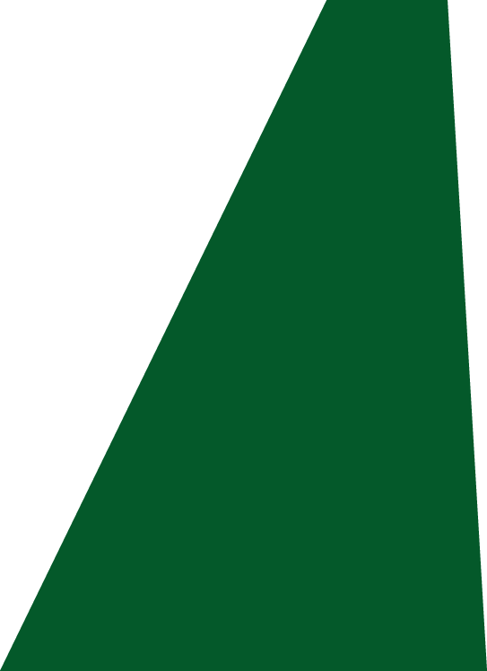 Backgropund green slide