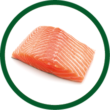 fresh salmon steak on white background