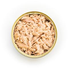 Canned tuna isolated, open tuna tin on a white background, Canned soy, Tuna packed in water