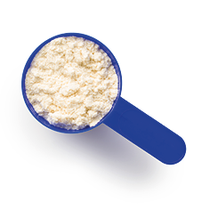 Whey protein powder in scoop isolated on white background.