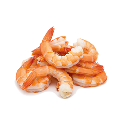 Shrimps isolated on white background concept.