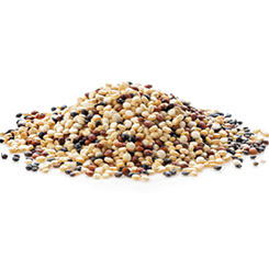 uncooked quinoa isolated on white background