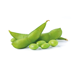 green soybeans on white background