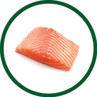 fresh salmon steak on white background