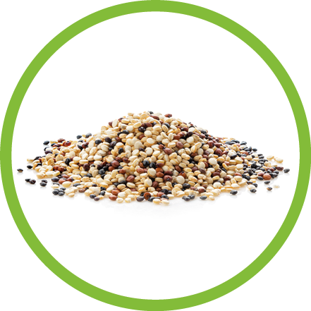 uncooked quinoa isolated on white background