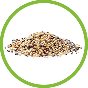 uncooked quinoa isolated on white background