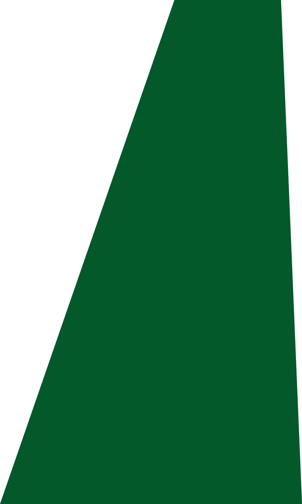 Backgropund green slide