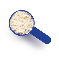 Whey protein powder in scoop isolated on white background.