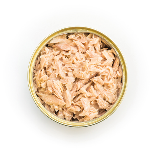 Canned tuna isolated, open tuna tin on a white background, Canned soy, Tuna packed in water