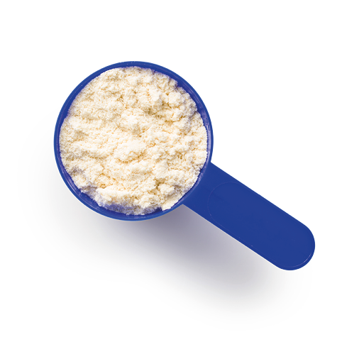 Whey protein powder in scoop isolated on white background.