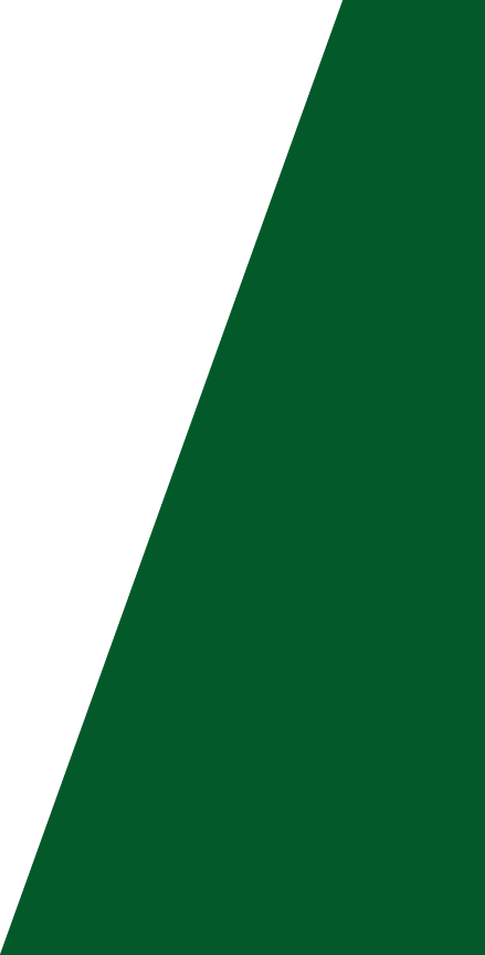 Backgropund green slide